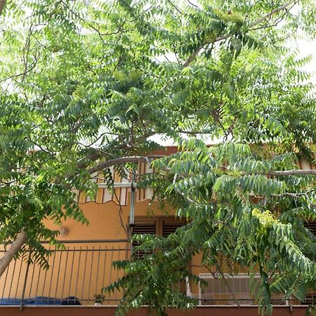 Casa Di Clara Apartment อาชิเรอาเล ภายนอก รูปภาพ