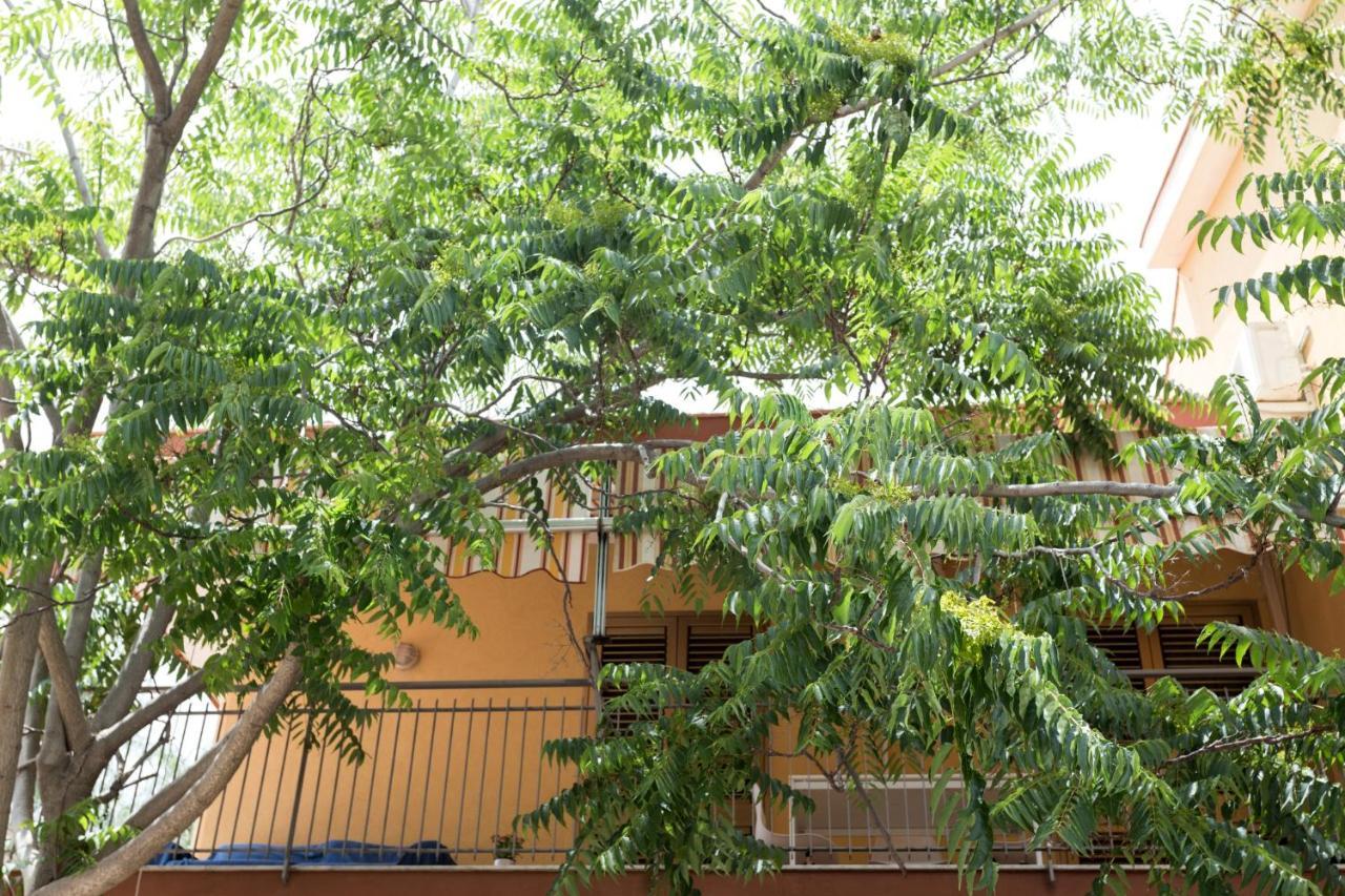 Casa Di Clara Apartment อาชิเรอาเล ภายนอก รูปภาพ